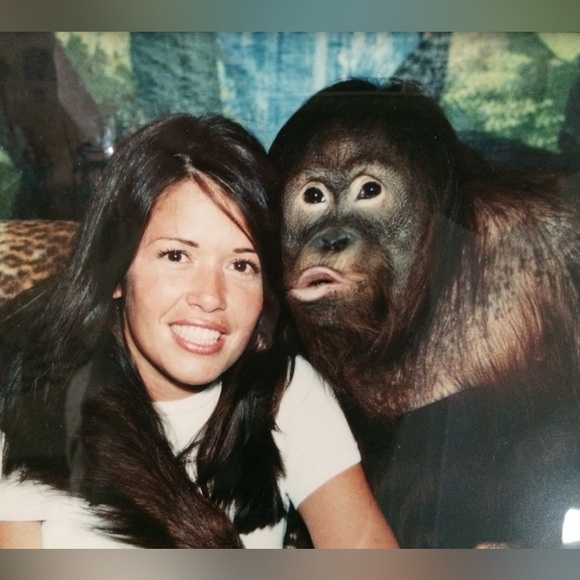 Live Show Listing come have a ball. - Picture 3 of 15